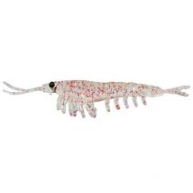 Gummifisch Nikko Oki Ami Shrimp M - 4.2cm - 2er Pack Okiamishm092