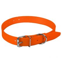 Collier Chien Hb Dog Eco Polyurethane Orange