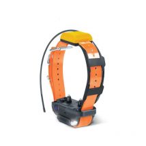 Collier Supplémentaire Dogtra Pathfinder 2 Orange