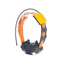 Collier Supplémentaire Dogtra Pathfinder 2 Mini Orange