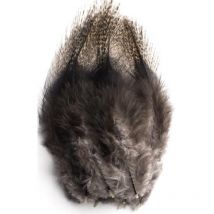 Cock Feathers Pardo Devaux Pardp02