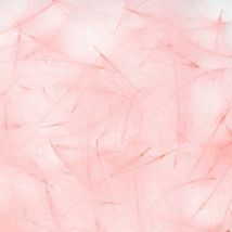 Cul De Canard Fly Scene Feathers 1g Pink