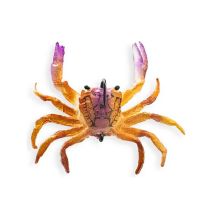Leurre Souple Chasebaits Crusty Crab 50 - 5cm - Par 2 Purple Fiddler - Pour Pêche en Mer - Pêcheur.com