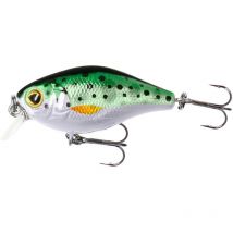 Schwimmender Köder Mikado Wobbler Fishunter Bold Head - 4cm Pwf-bh-4f-rt