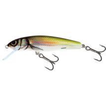 Esca Artificiale Affondante - 6cm Salmo Minnow - 6cm Qmw019