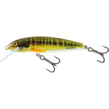 Floating Lure Salmo Minnow - 6cm Qmw040