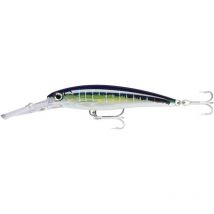 Amostra Flutuante Rapala X-rap Magnum - 18cm Ra5816706