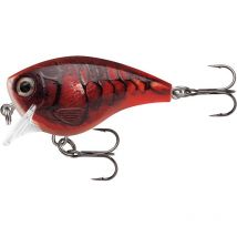 Przyneta Plywajaca Rapala Bx Brat Bxb06 - 5cm Ra5820019