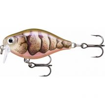 Esca Artificiale Galleggiante Rapala X-light Crank Shallow Runner - 3.5cm Ra5823051