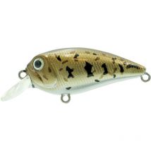 Leurre Flottant Adam's Crank 50 Sr - 5cm Rhinogobius - Pour Pêche des Carnassiers - Pêcheur.com