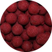 Bouillette Specimen Carpe Dixtinction - 800g Robin Red Vanille - Pour Pêche de la Carpe - Pêcheur.com
