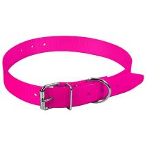 Collier Chien Hb Dog Eco Polyurethane Rose