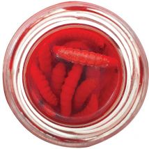 Teignes Momifiées Truite Innovation Rouge