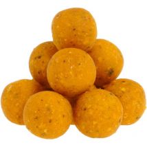 Bouillette Carp Target Royal Scopex - 800g - 16mm