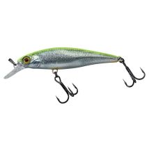 Leurre Suspending Illex Squad Minnow 65 Sp - 6.5cm Rt Visible Roach