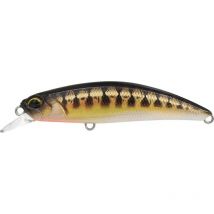 Floating Lure Duo Spearhead Ryuki 70s - 7cm Ryuki70scccz431