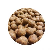 Bouillette Specimen Carpe Dixtinction Scopex Tigernuts - Pêcheur.com