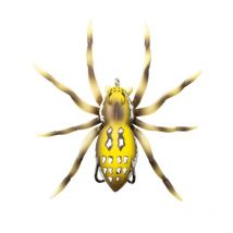 Softbait Lunker Hunt Phanton Spider - 5cm Spider01