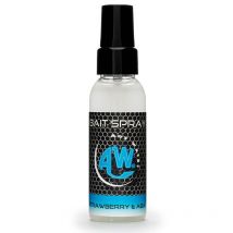 Spray Any Water Bait Spray Strawberry & Asafoetidia