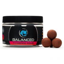 Hookbait Any Water Balanced Boilies Tangerine Squid - 16mm