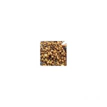 Graine Seche Natural Baits Tigernuts Tigernuts Classic