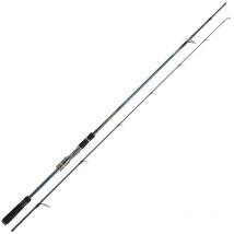 Canne Spinning Daiwa Tournament Ags Tnags702hfscf - Pour Pêche en Mer - Pêcheur.com