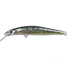 Leurre Coulant Jackson Artist Fr80 - 8cm Vairon