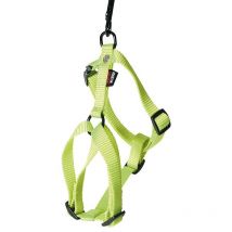Harnais Chien Nylon Uni Confort Martin Sellier Vert - 70-90cm