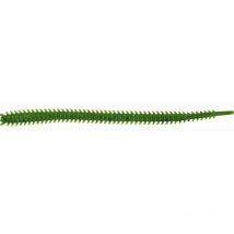 Leurre Souple Marukyu Isome L - 11cm - Par 15 Vert - Pour Pêche en Mer - Pêcheur.com