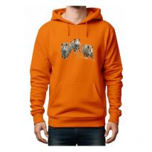 Men's Hoodie Bartavel Sweatcapuchehoodieorange-t1103-m