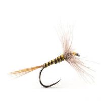 Mosca Devaux Ephemere A4qc - Paquete De 3 A4qch16