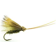 Mosca Devaux Sedge Tricoptheres Elk Cdc03 Elk3h14