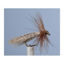 Mosca Jmc Sedge Priay Mo00711a