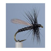 Mosca Jmc Terrestre Ph 14 Mo055525a