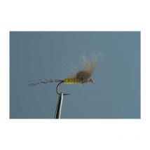 Mosca Tof Émergente Br 1004786