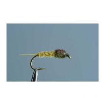 Mosca Tof Nymphe Pheasant Tail - Olive Clair 1004818