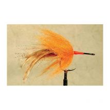 Mouche Mer Tof Tarpon Brush - Brun No3/0