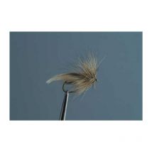 Mouche Tof Sedge - Clair No16