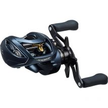 Moulinet Casting Daiwa Steez A2 Tw 2023 Stz23a2tw1000hl - Pêcheur.com