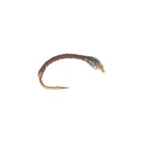 Nymphe Vertigone Sq1 - H14 Mo01240