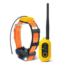 Pack Conjunto Completo Dogtra Pathfinder 2 170996