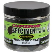 Pallina Da Forare Fun Fishing Specimen 80g - 15mm 13442895