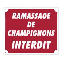 Panneau Signalisation Europ Arm Ramassage De Champignons Interdit Plastique Alvéolé