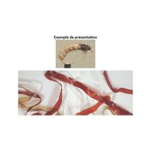 Pasek Syntetyczny Tof Body Stretch - 1m 1007221