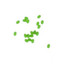 Pearl Dudule Molle 10125