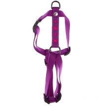 Peitoral Cão Nylon Martin Sellier Croix Rose 3009349