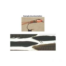 Pheasant Tail Tof 1005808