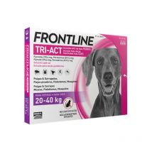 Pipette Insecticida Frontline Tri-act L 20-40kg 1me06901