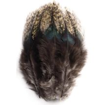 Piume Di Gallo Pardo Devaux Pard10