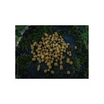 Prepared Seeds Poseidon Particles Tigernuts Mix Tmix-2/cp